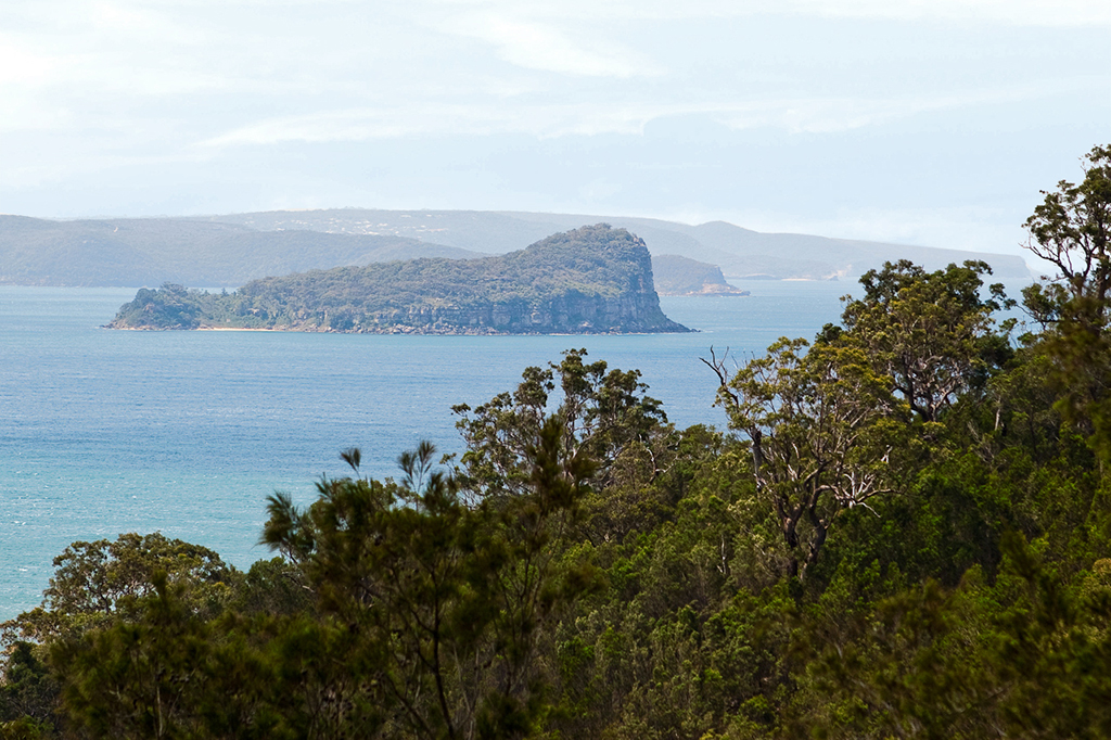 Lion Island and Box Head, Central Coast