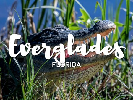 One day in Everglades Itinerary