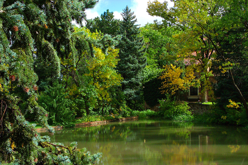 University of Colorado Campus